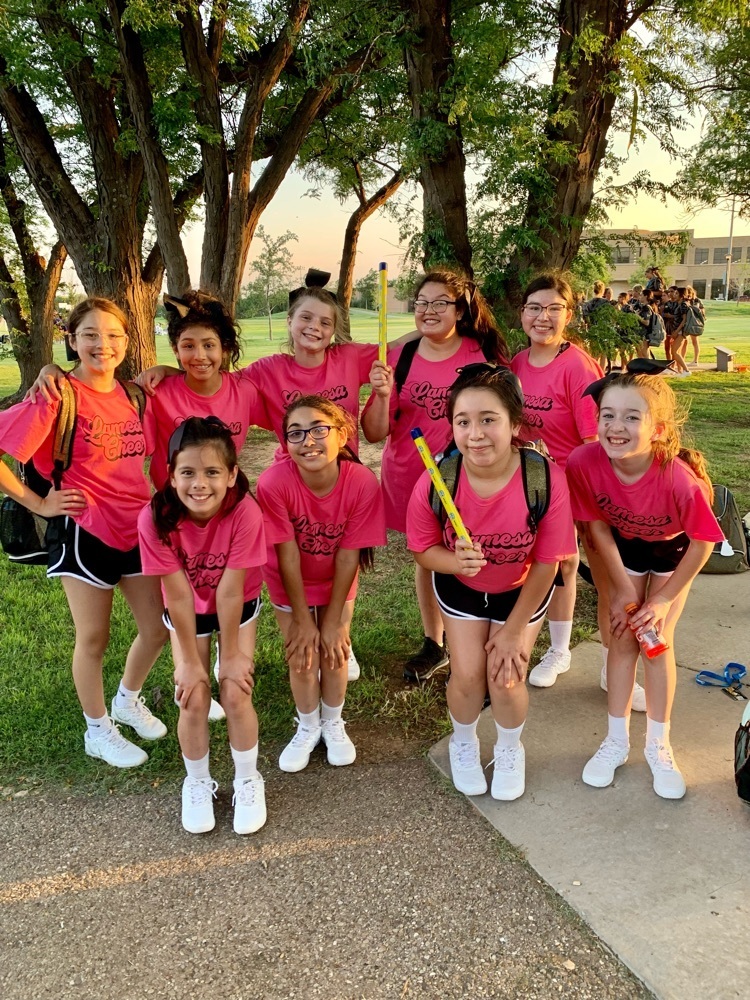 lms cheer
