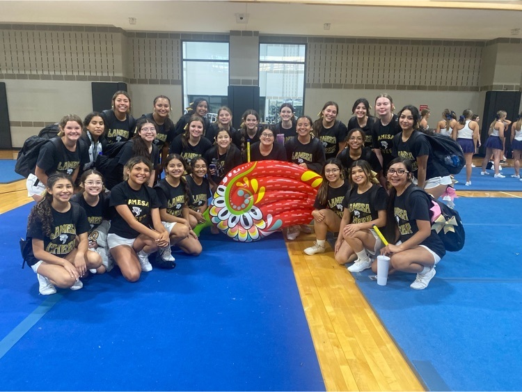 lhs cheer